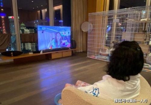 小孩爆料青泽的视频,一窥童言无忌下的真实世界